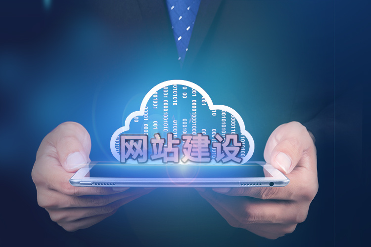 坦洲网站设计公司
